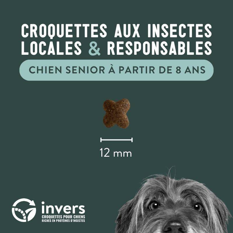 Croquettes aux insectes pour chien sénior (à partir de 8 ans) 7,5kg - Invers - Image 3