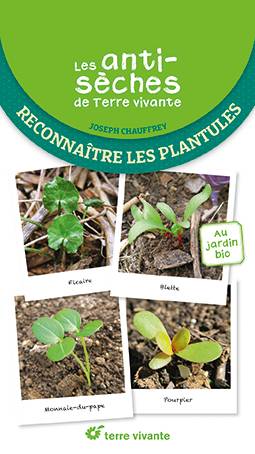 Promesse de Fleurs - Les antisèches de Terre vivante : Reconnaître les plantules