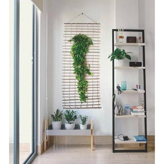 Nortène - Treillis mural naturel marron 1 x 2 m - support pour plantes grimpantes - Image 1