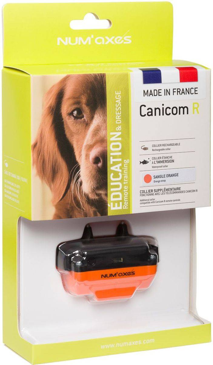 Collier de dressage rechargeable waterproof Canicom R pour petits chiens - Orange - NUM'AXES - Image 3