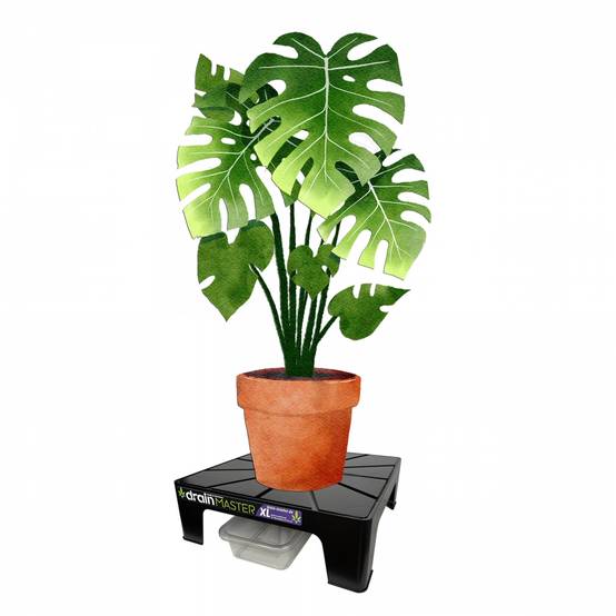 Sans Marque - Set de support de drainage DrainMaster XL - Bac inclus - Image 2