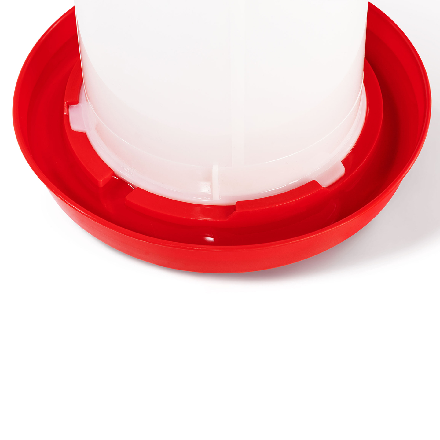 Lot mangeoire 3 KG et abreuvoir 3L pour poules et volailles - Image 3