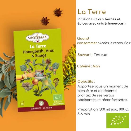 Infusion Tisane Bio La Terre Plante Naturelles Équilibre et Vitalité - Terreuse, Apaisante, Revitalisante, Parfumée - Image 2