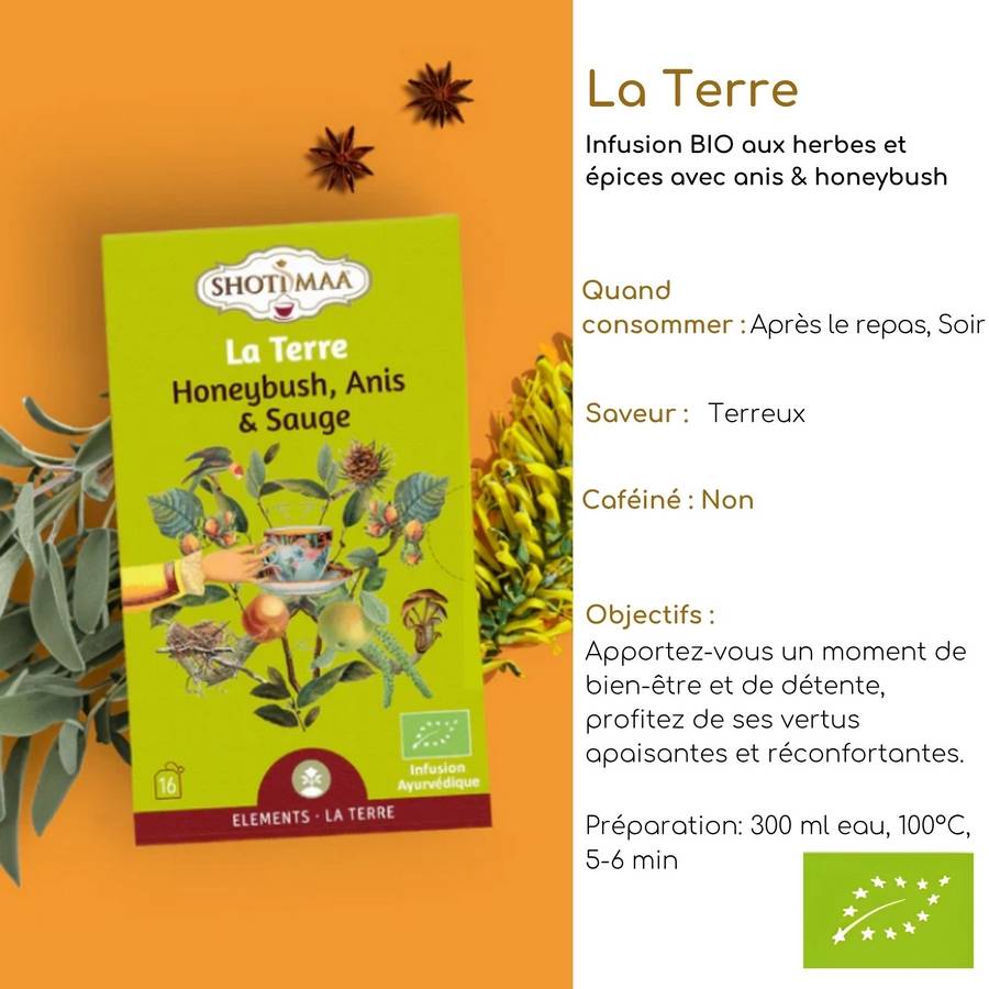 Infusion Tisane Bio La Terre Plante Naturelles Équilibre et Vitalité - Terreuse, Apaisante, Revitalisante, Parfumée - Image 2