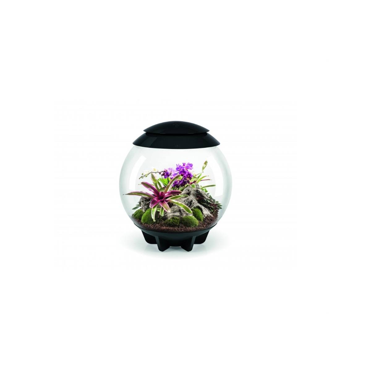 Oase - Terrarium décoratif 60l avec cadre noir AIR 60 BLACK Oase - Image 1