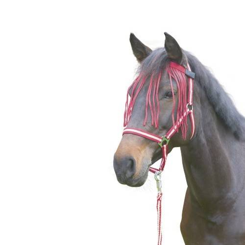 Chasse Mouche à Franges - Anti-mouche Cheval - Full - Rouge