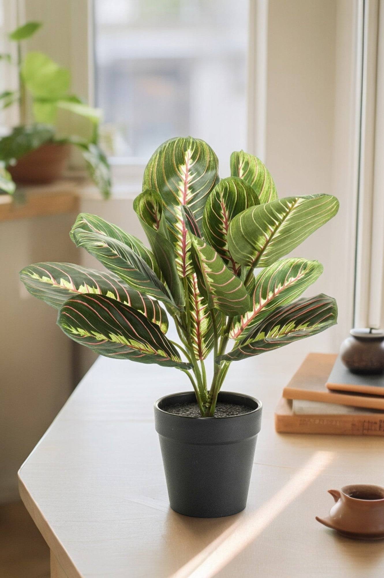 La Green Touch - Marantha Fascinator plante artificielle - h30cm, Ø12cm- La Green Touch - Image 1