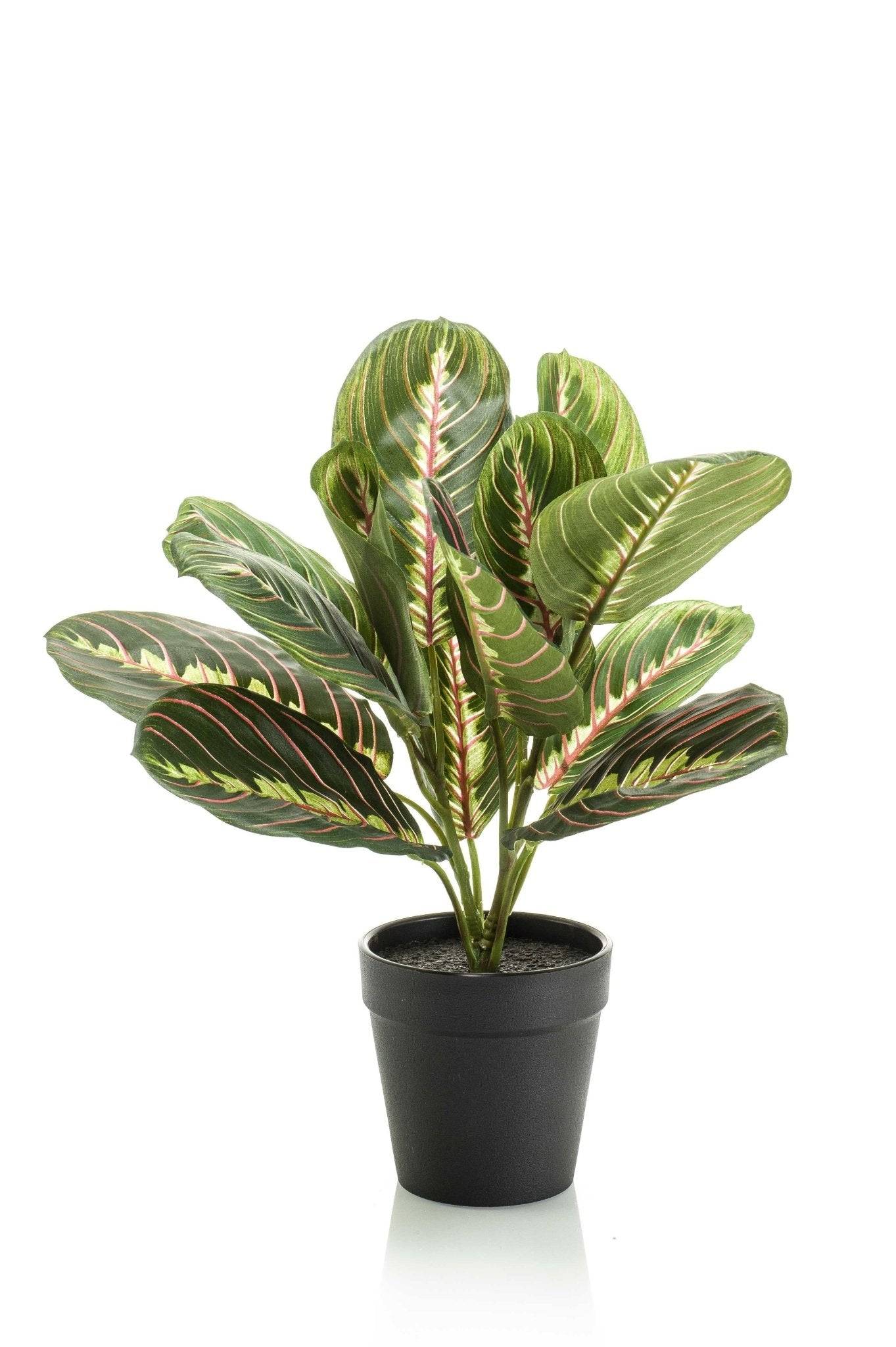 La Green Touch - Marantha Fascinator plante artificielle - h30cm, Ø12cm- La Green Touch - Image 6