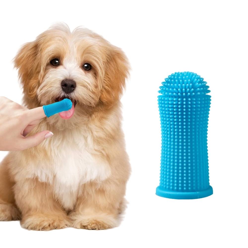 IntiMeg - Brosse à dents pour chien bleu - IntiMeg