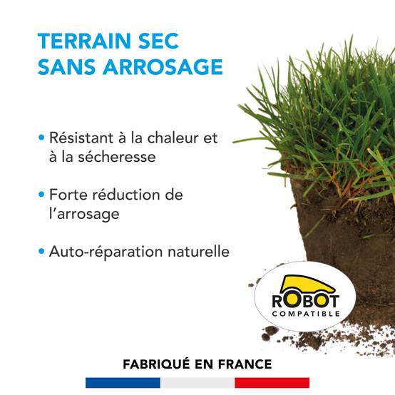 Gazon Terrain Sec sans arrosage - Résiste à la Chaleur et à la Sécheresse - Forte Réduction de l'Arrosage - Autoréparation Naturelle- 15KG - BARENBRUG - Image 2