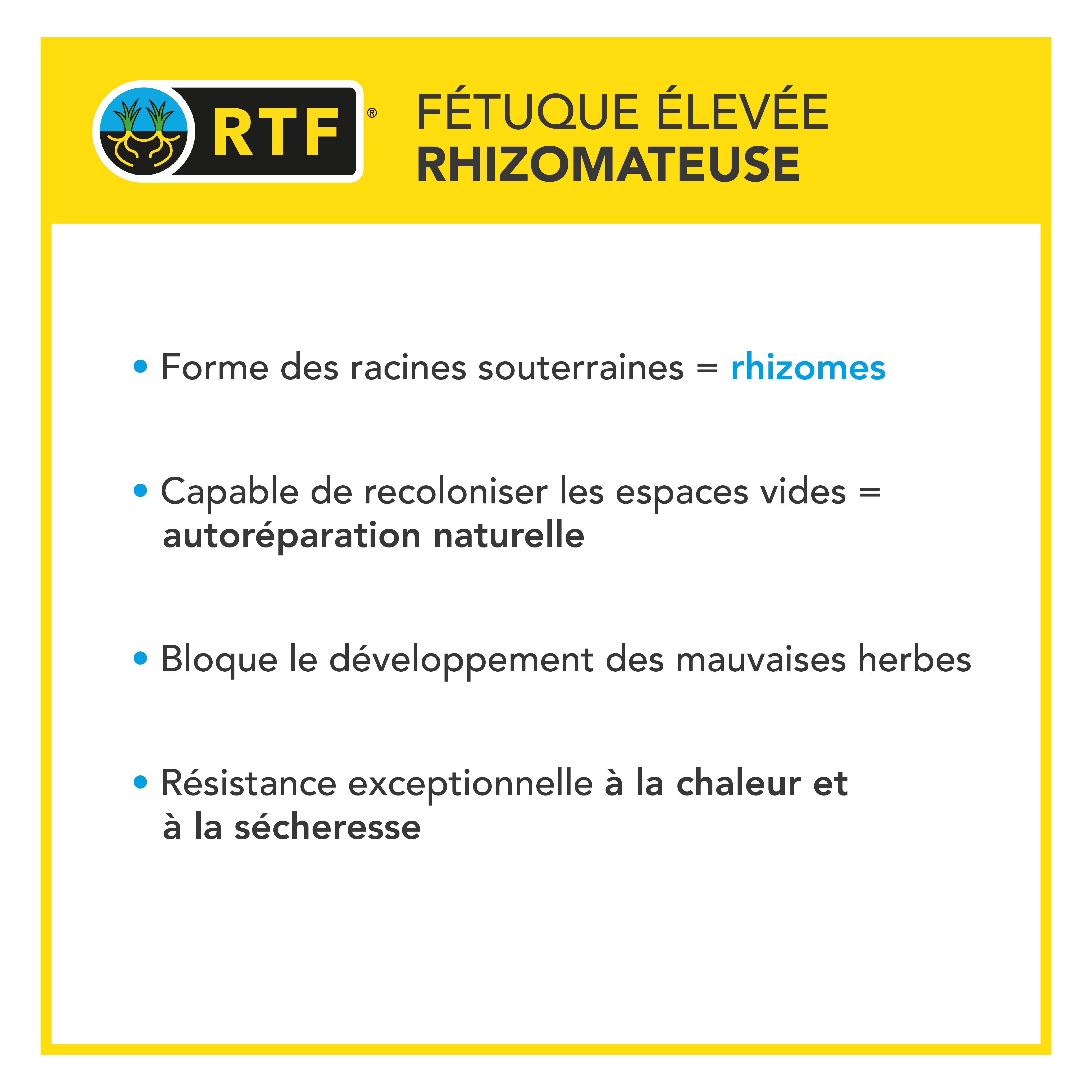 Gazon Terrain Sec sans arrosage - Résiste à la Chaleur et à la Sécheresse - Forte Réduction de l'Arrosage - Autoréparation Naturelle- 15KG - BARENBRUG - Image 5