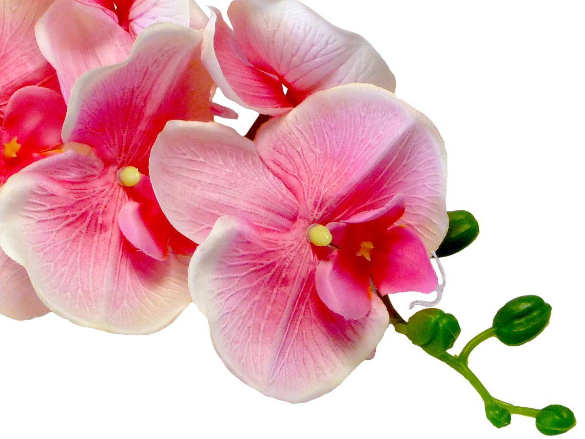 Artificielles - Orchidee Tao factice H105cm 8 fleurons 5 boutons qualité Rose soutenu - couleur: Rose soutenu - Image 2