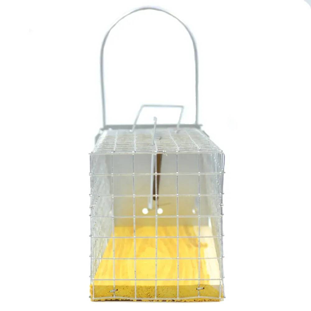 Piège cage à rat 1 entée 235 x 80 x 100 mm - Image 4