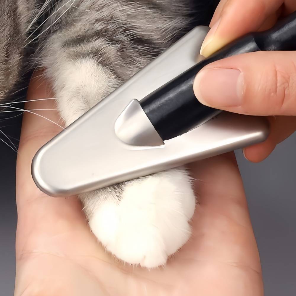 IntiMeg - Peigne triangulaire pour le toilettage des animaux IntiMeg - Image 5