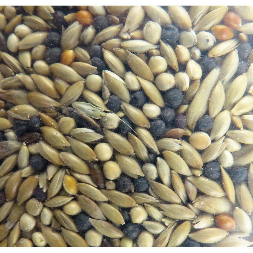 Graines canari, nutrimeal - 12kg pour oiseaux - Image 3