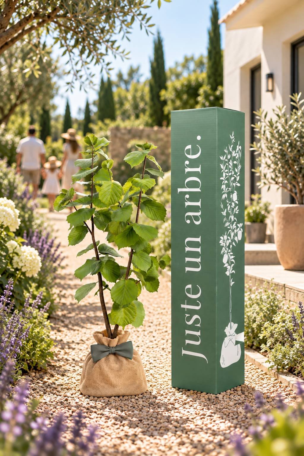 Juste Un Arbre - JUSTE UN ARBRE. – Noisetier commun | Idée cadeau gourmand pour naissance, mariage, anniversaire – Arbuste adaptable, idéal en haie ou isolé. - Image 2
