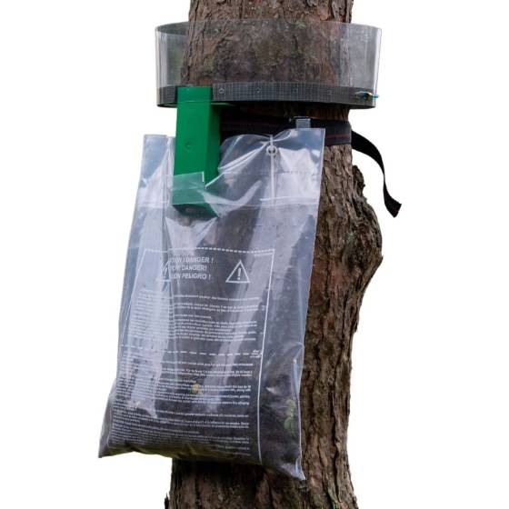 Protecta - Protecta - Piège contre les chenilles processionnaires - Circonférence max. 94cm - Image 1