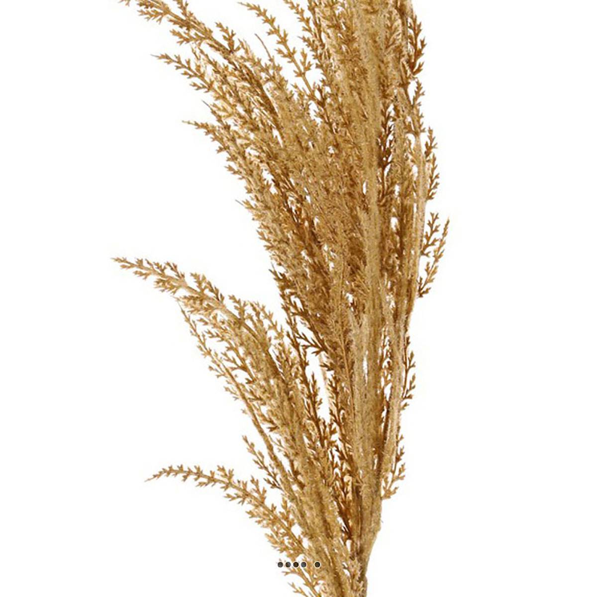 Artificielles - Magnifique fausse herbe de pampa grande tige 100 cm Vanille - couleur: Vanille - Image 3