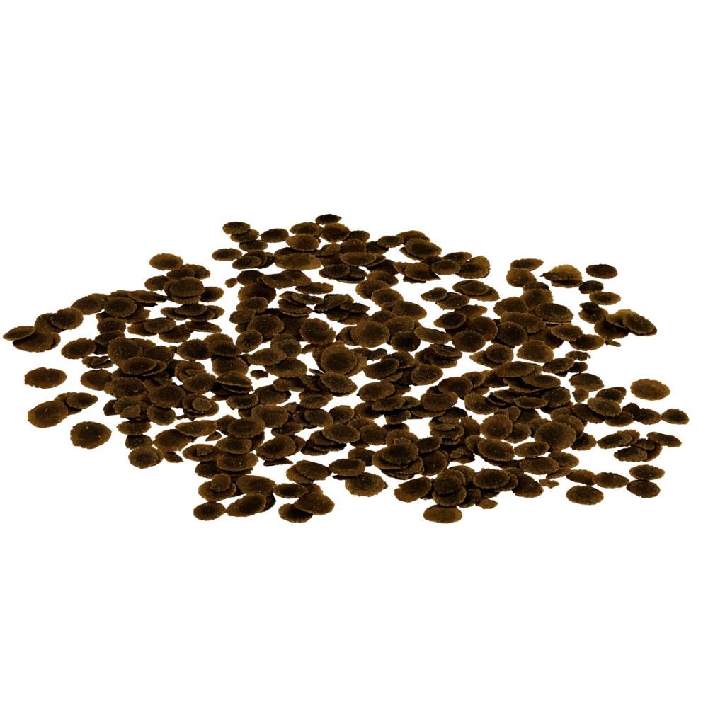 Tetra - Aliment complet pour poissons d'aquarium herbivores, crisps à la spiruline - TetraPro Algae - 100 ml (18 g) - Image 3