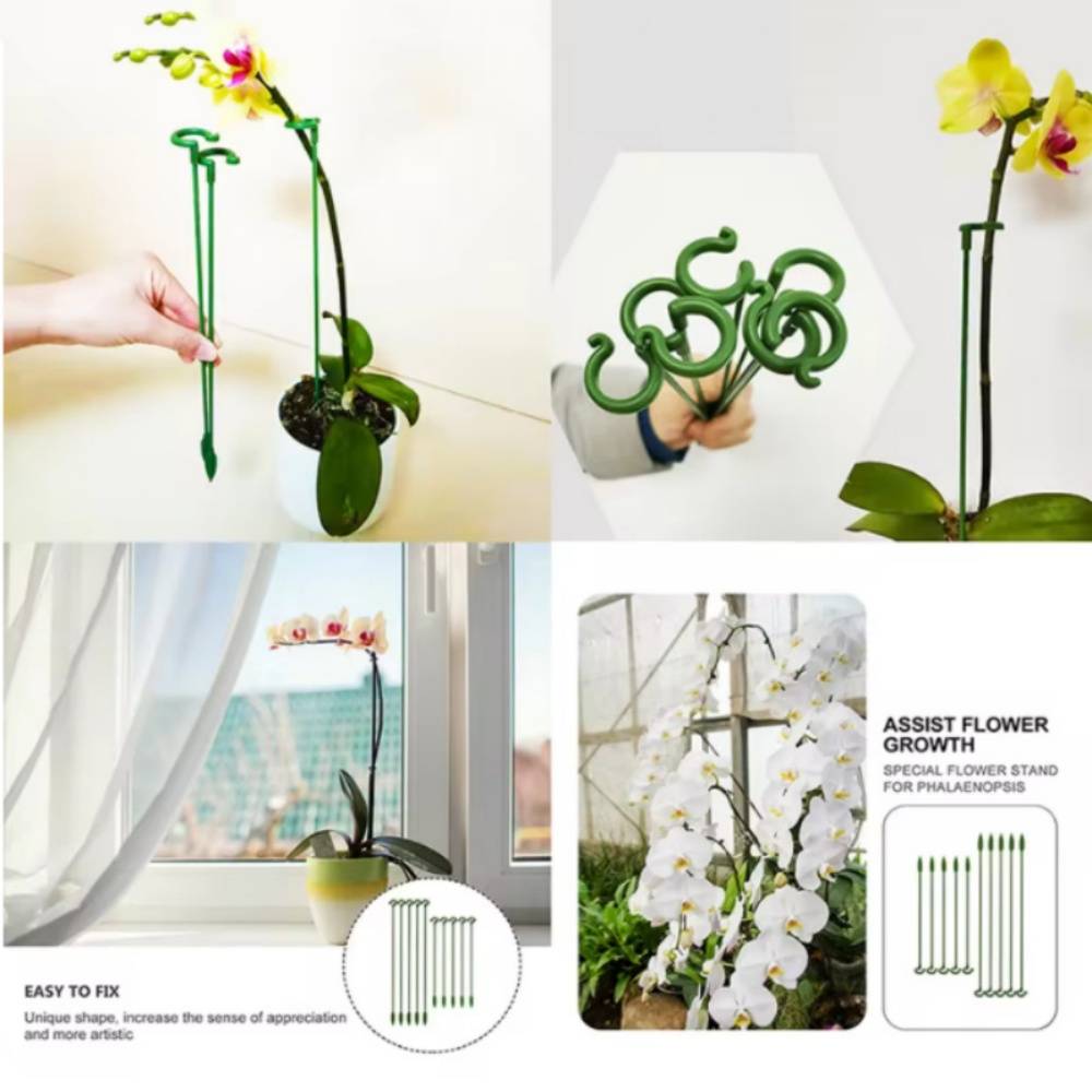 Lot de 10 Tuteurs pour Plantes d'Intérieur 27 cm - Fibre de Verre Résistant - Support pour Orchidées et Fleurs Délicates - Lytech - Image 3
