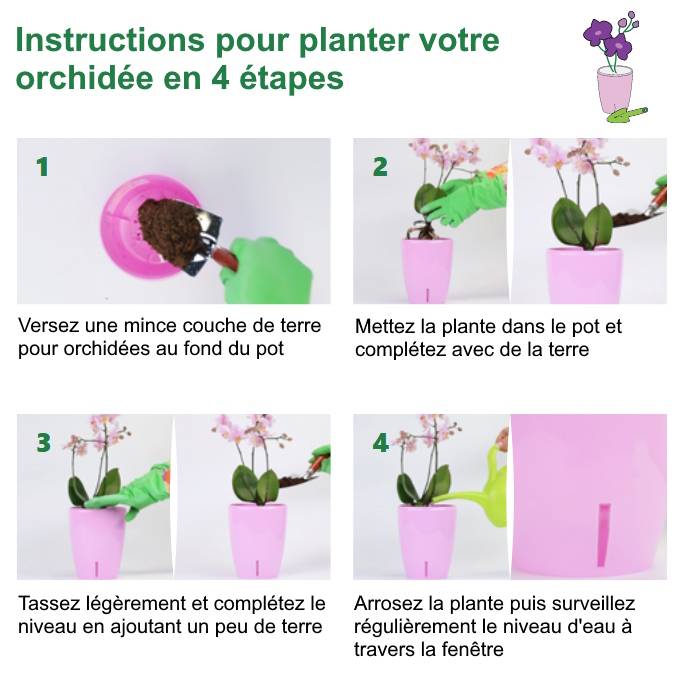 Gt Garden - Lot de 3 pots pour orchidées avec réserve d'eau - Orchidea transparent 2 litres - GT GARDEN - Image 4