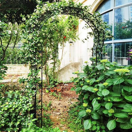 Arche de Jardin Treillis de Jardin en 2 Demi-arcs Extérieur pour Plantes Grimpantes 150x39x250CM Métal Noir - Image 2