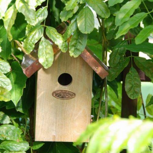 Esschert Design - Nichoir en bois pin et cuivre pour roitelets - Ø 30 mm - Image 4