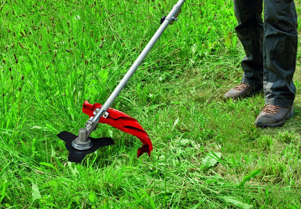 Einhell - Débroussailleuse thermique GC-BC 36-4 S Einhell - Image 2