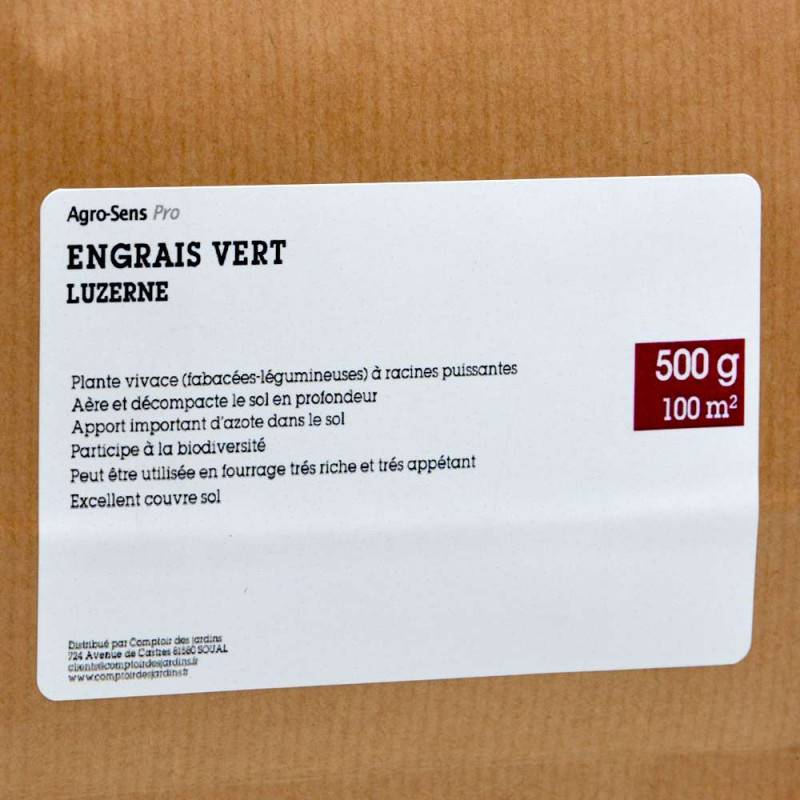 Graines de luzerne, engrais vert vivace. 500 g - Image 2