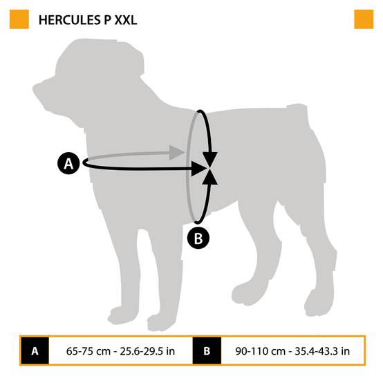 Ferplast - Harnais pour Chiens HERCULES XXL, Rembourré, Résistant, Anti-griffures, Visible dans l'Obscurité, avec Poignée - Image 2
