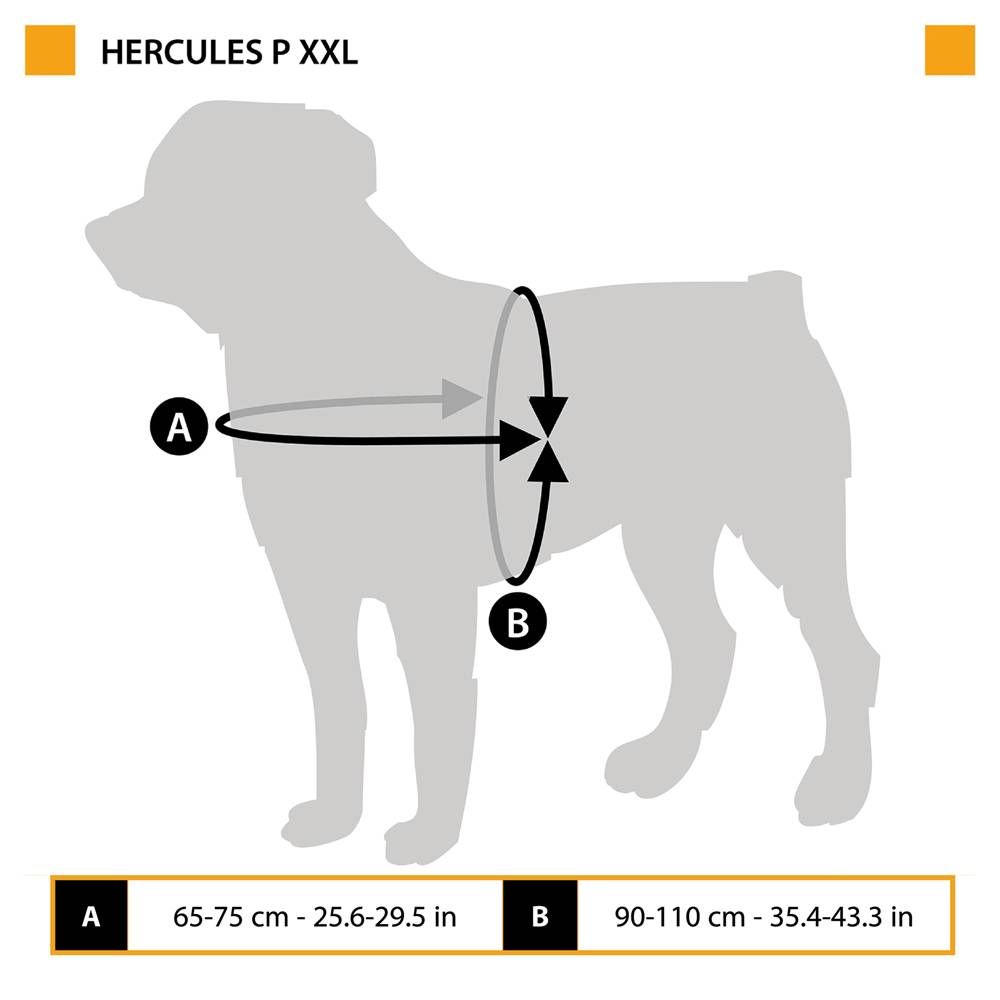 Ferplast - Harnais pour Chiens HERCULES XXL, Rembourré, Résistant, Anti-griffures, Visible dans l'Obscurité, avec Poignée - Image 2