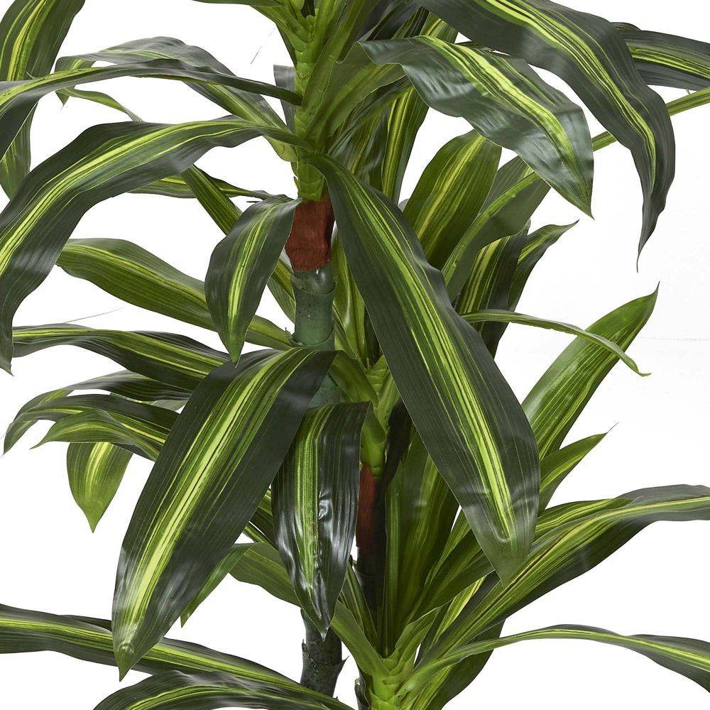 The Home Deco Factory - Plante artificielle Dracaena 160 cm - Image 3