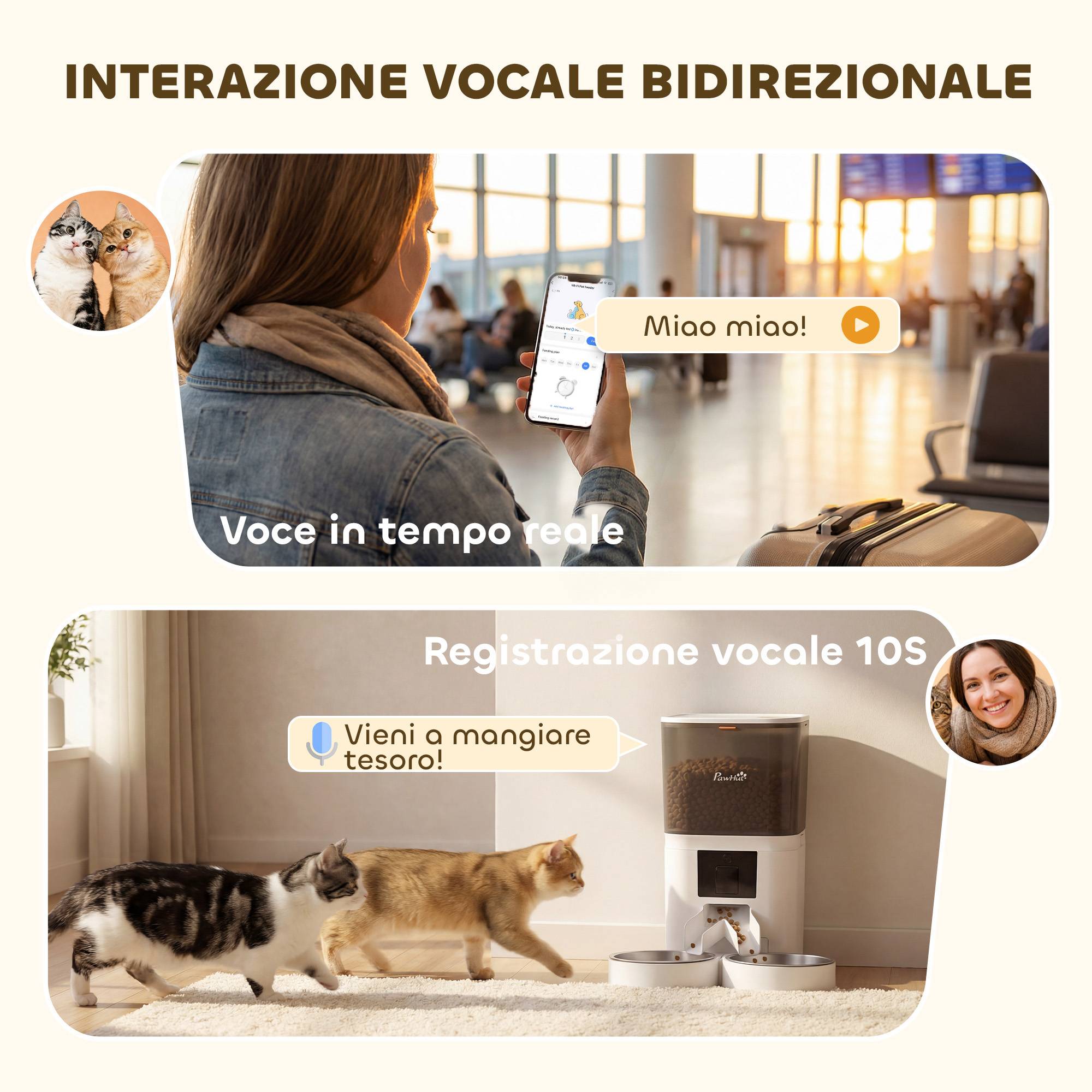 Distributeur automatique nourriture chat 6L WiFi 2.4G, minuterie,1-10 repas/jour,enregistrement 10s,2 bols inox - Image 9