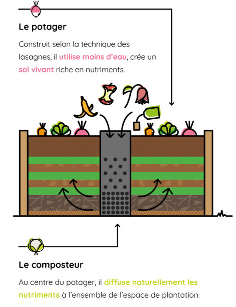 Mon Petit Potager - Carré Potager avec composteur intégré - Bois Douglas non traité - 120 x 115 x H40 - mon PETIT POTAGER - Image 7
