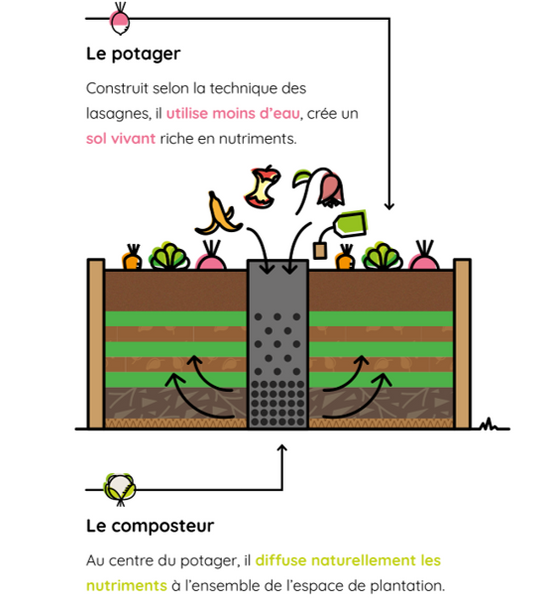 Mon Petit Potager - Carré Potager avec composteur intégré - Bois Douglas non traité - 120 x 115 x H40 - mon PETIT POTAGER - Image 5