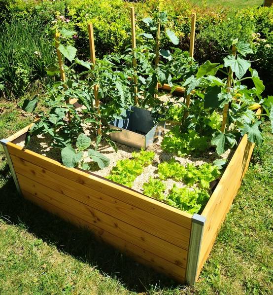 Mon Petit Potager - Carré Potager avec composteur intégré - Bois Douglas non traité - 120 x 115 x H40 - mon PETIT POTAGER - Image 3