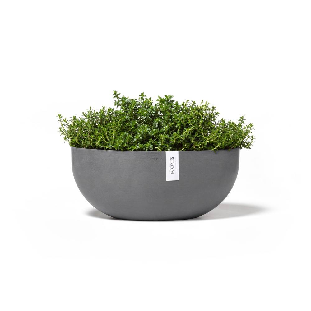 Ecopots - Pot Ovale Sofia Big 43 Gris + réservoir d'eau - 43 x 25 x H. 17,5 cm - 8,2 L ECOPOTS - Image 3