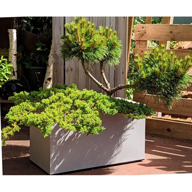 Riviera - Bac A Fleurs Granit - 60x30 Cm - Stone - Image 3