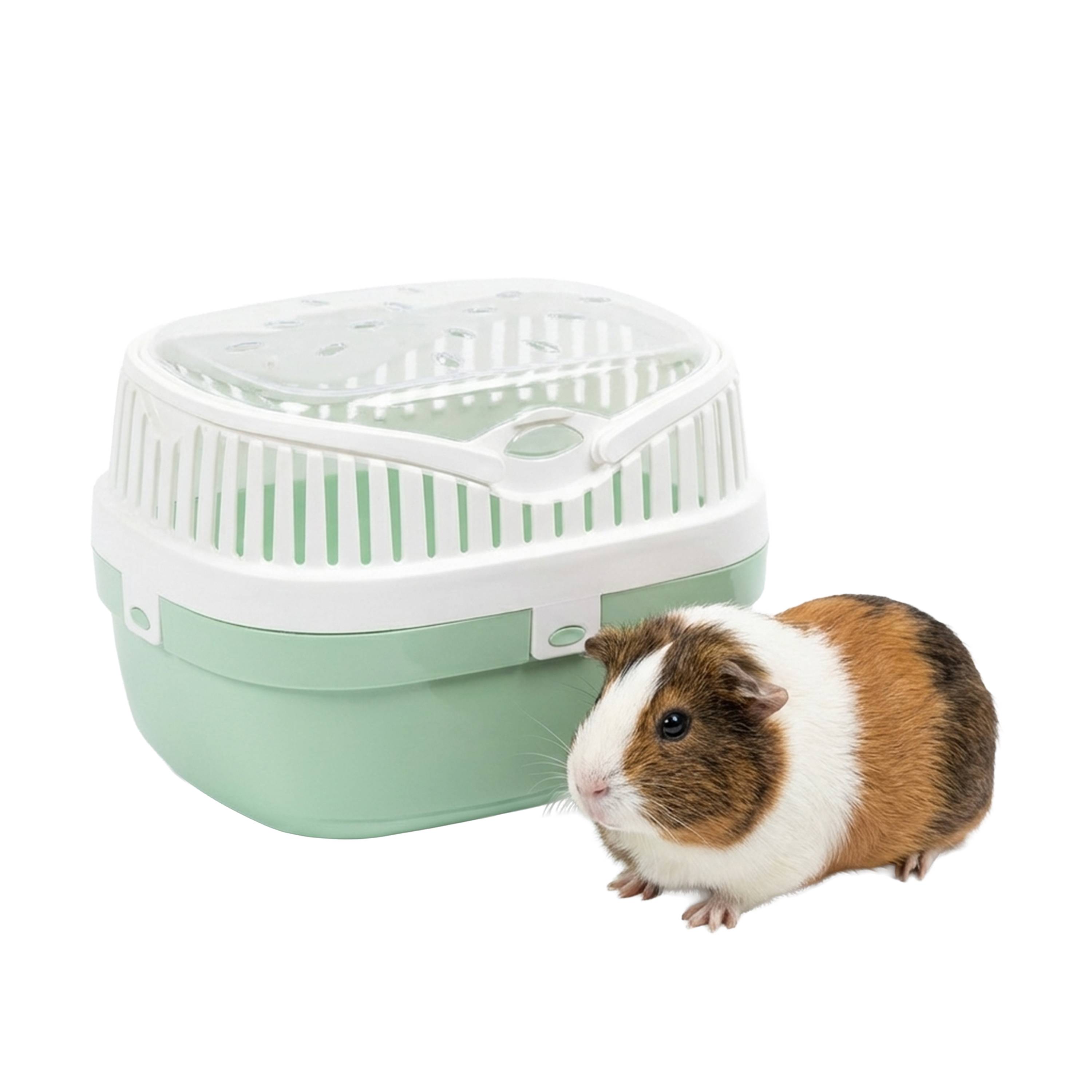 Ferplast - Ferplast Transport pour cochons d'inde et autres rongeurs ALADINO MEDIUM Cage de transport pour animaux domestiques, rongeurs, cochons d'inde, - Image 4