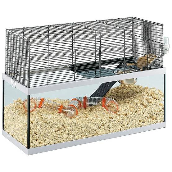 Ferplast - Ferplast Cages pour gerbilles GABRY 80 Petits rongeurs, structure à 2 étages, accessoires inclus, cuve en verre et grillage en métal vernis Noir - Image 1