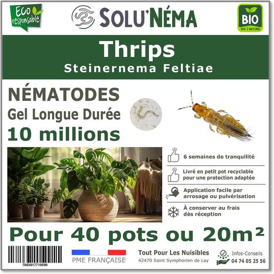 Solunéma - Thrips - Traitement à base de nématodes Steinernema Feltiae (SF) - 10 millions pour traiter 40 pots ou 20 m² - Image 1