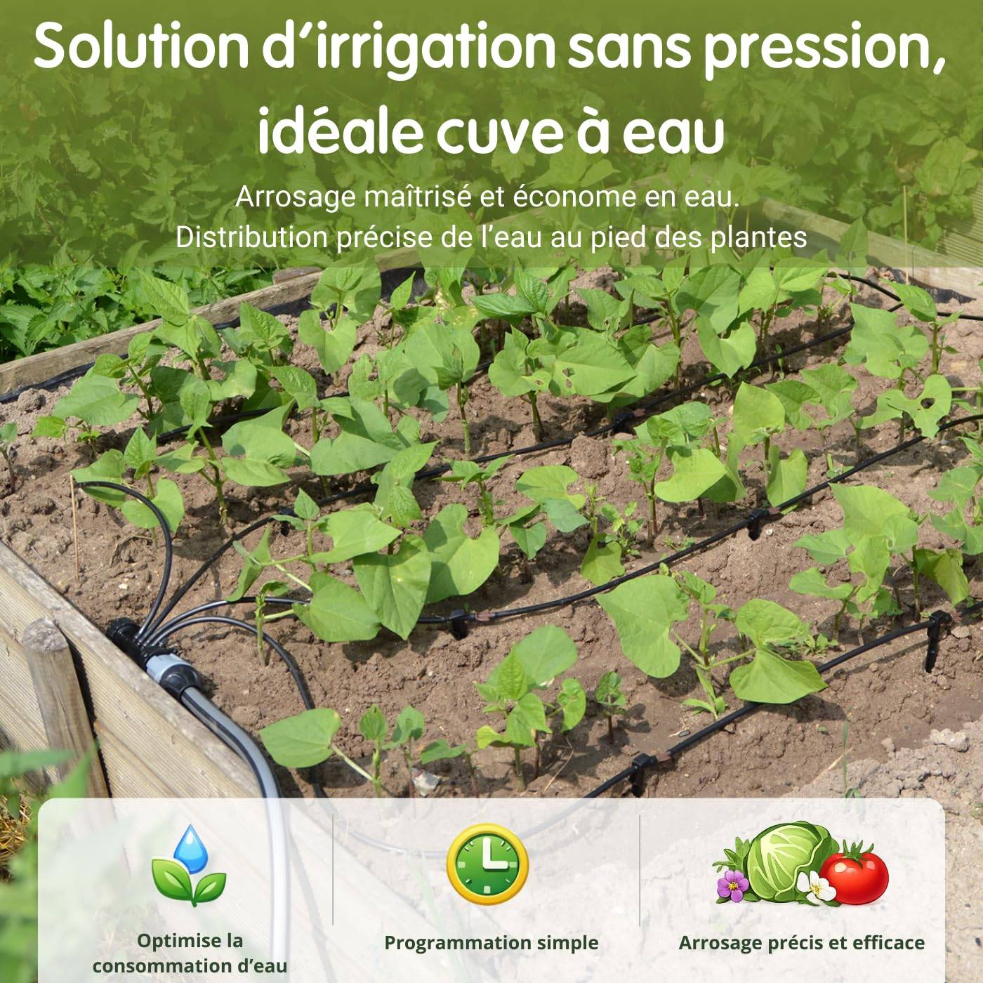 Jardibric - Kit Goutte à Goutte Jardibric 25m² avec Programmateur 40m Micro Tuyau Ø6mm 30 Goutteurs Réglables 5 Sorties Irrigation Autonome Sans Pression - Image 3