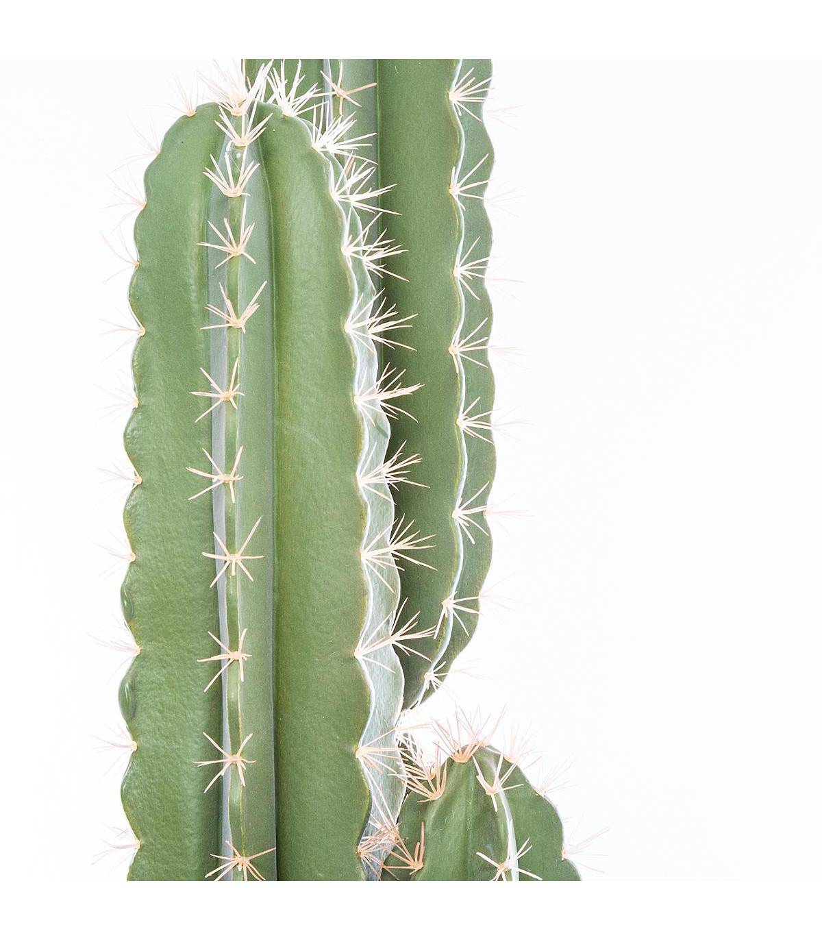 Plante artificielle Cactus Pin dans son pot H 185 cm - Image 2
