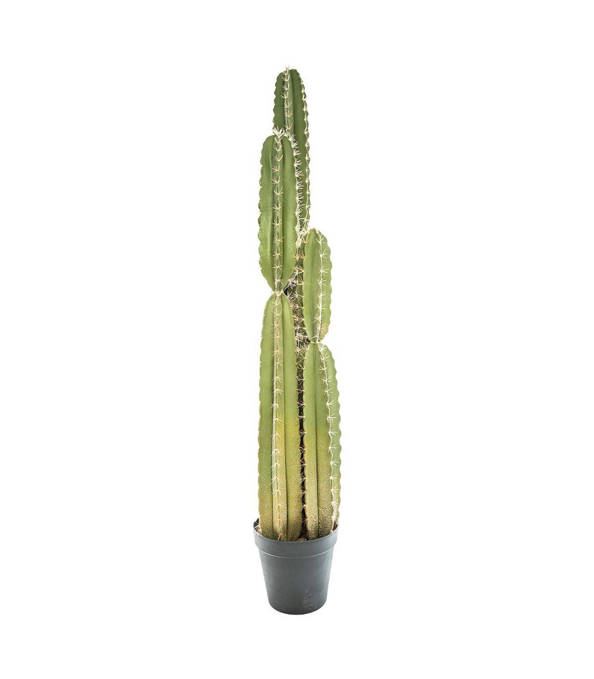 Plante artificielle Cactus Pin dans son pot H 185 cm - Image 1