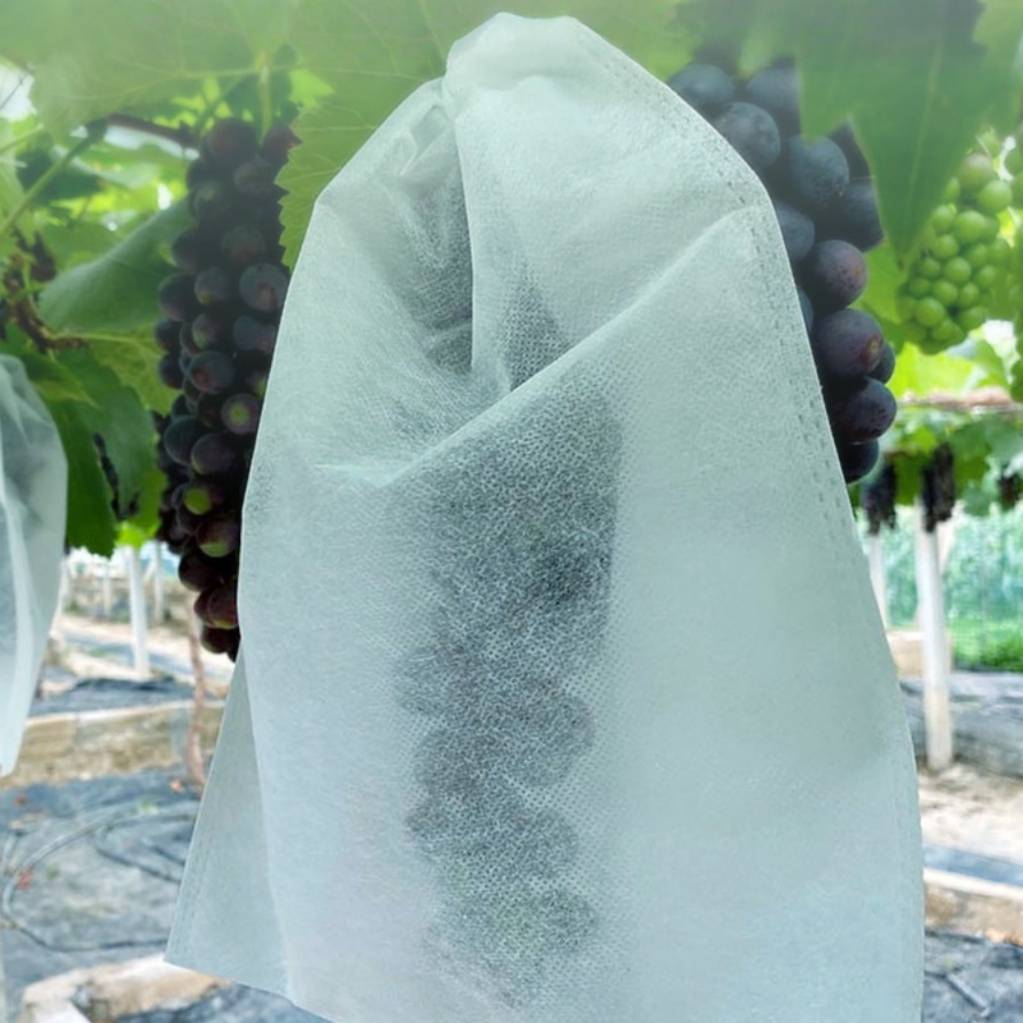 Sacs Protection Fruits Anti Frelons 24x36cm Non Tissé avec Cordon pour Raisin Jardin Lot de 100 Pièces DtopbuyAge - Image 5