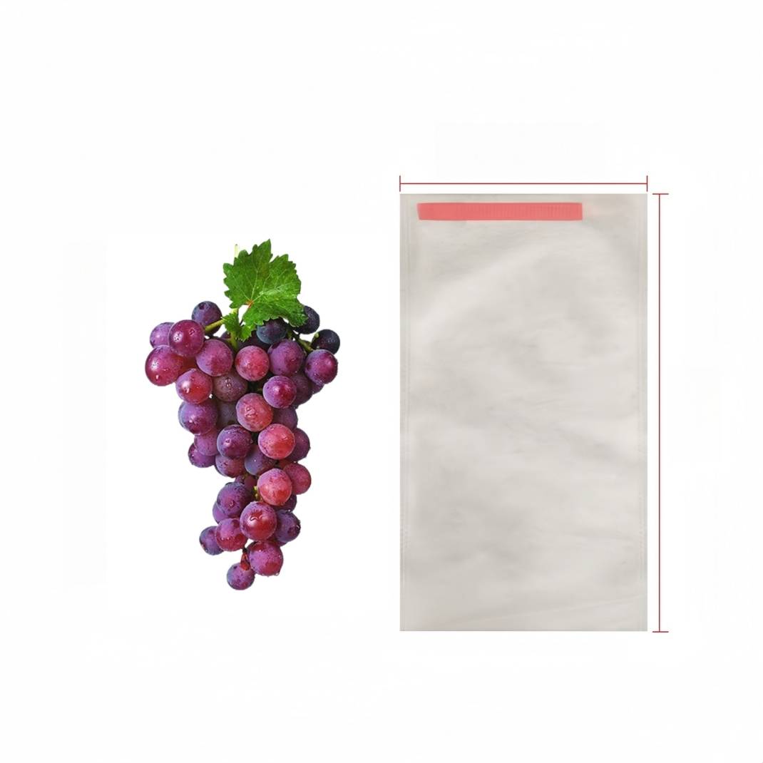 Sacs Protection Fruits Anti Frelons 24x36cm Non Tissé avec Cordon pour Raisin Jardin Lot de 100 Pièces DtopbuyAge - Image 1