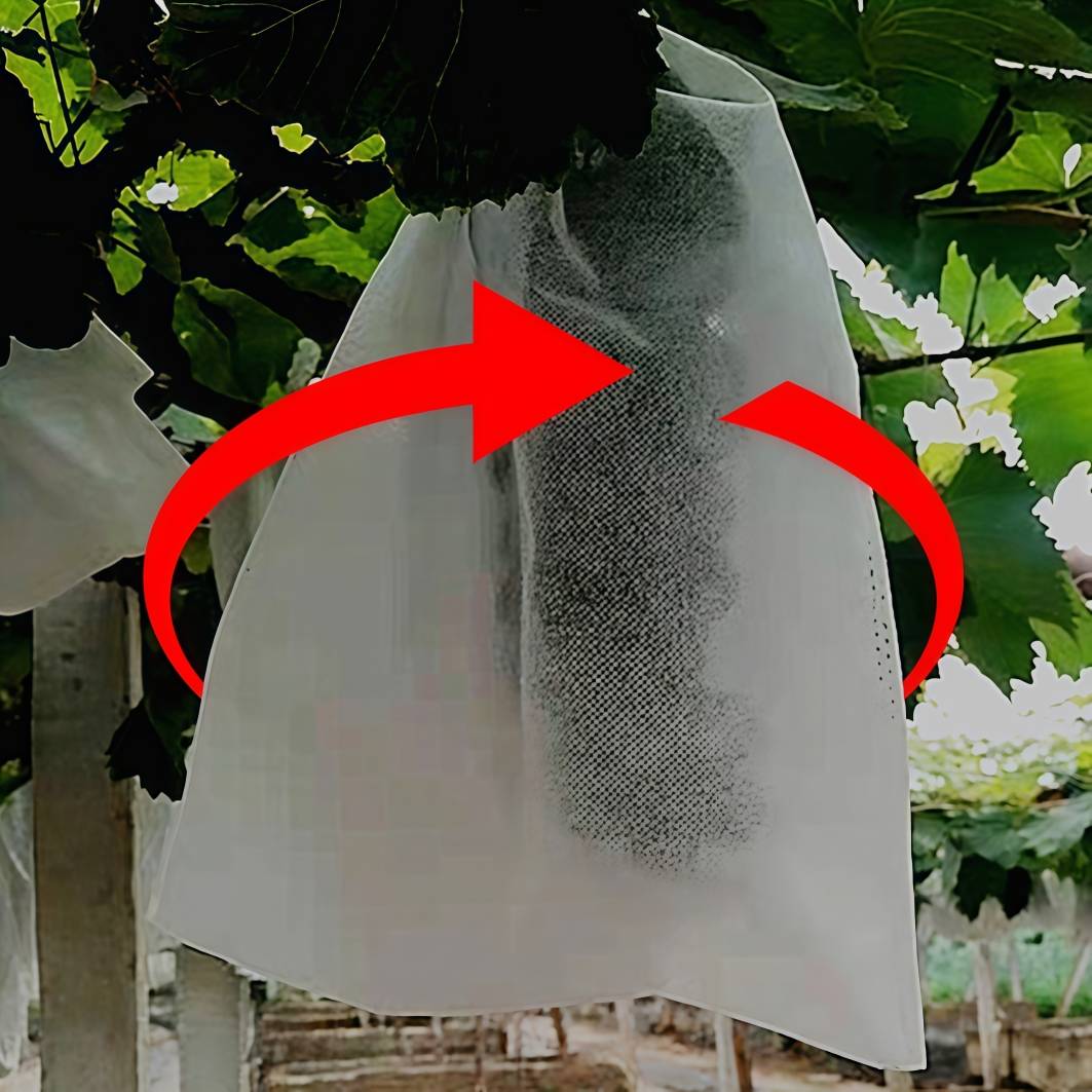 Sacs Protection Fruits Anti Frelons 24x36cm Non Tissé avec Cordon pour Raisin Jardin Lot de 100 Pièces DtopbuyAge - Image 3