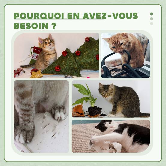 Arbre à chat sisal et peluche gris 48 x 40 x 126 cm - PANGIVO - Image 9