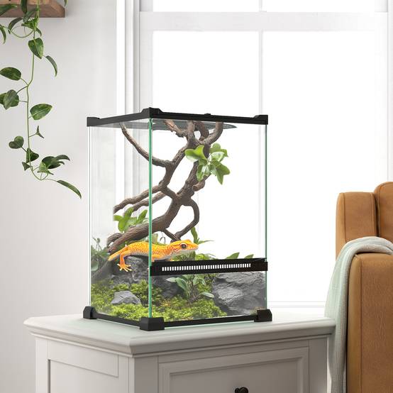 Terrarium en verre noir 20 x 20 x 30 cm - PANGIVO - Image 4