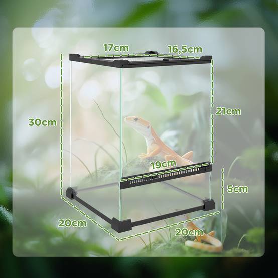 Terrarium en verre noir 20 x 20 x 30 cm - PANGIVO - Image 5
